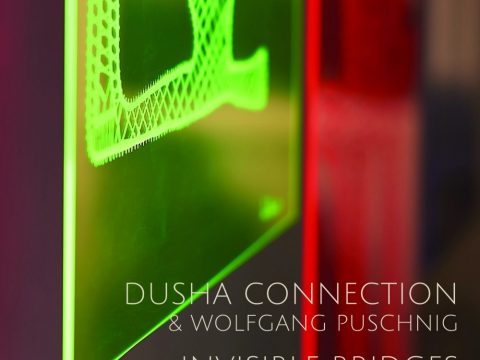 Dusha Connection - Invisible Bridges (2020)